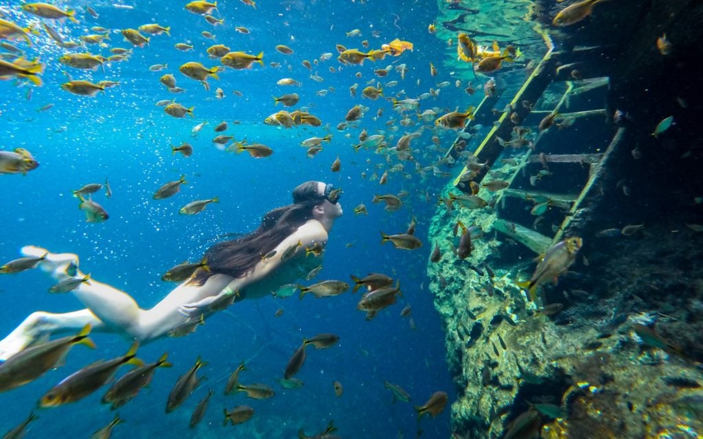 Girl swimming in one of Tulum's cenotes