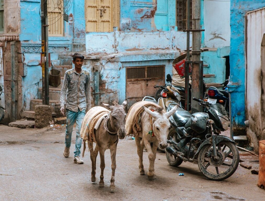 Blue City of Jodhpur, India