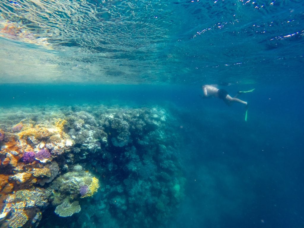 Snorkeling at the reef wall of the Blue Hole in Dahab