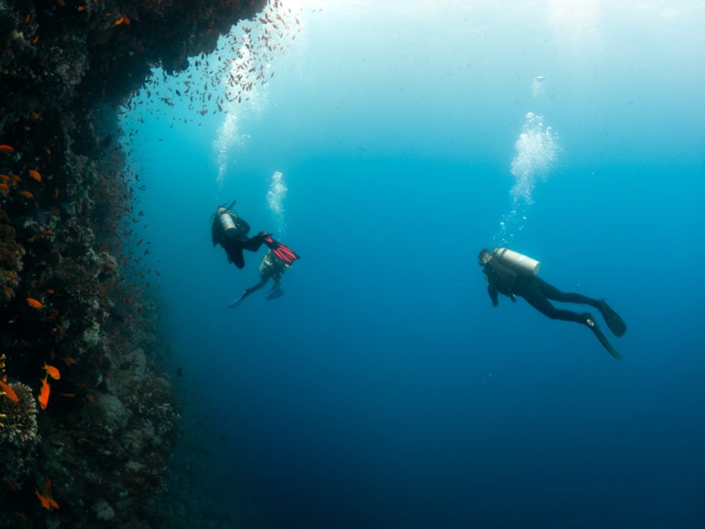 Scuba divers in Egypt