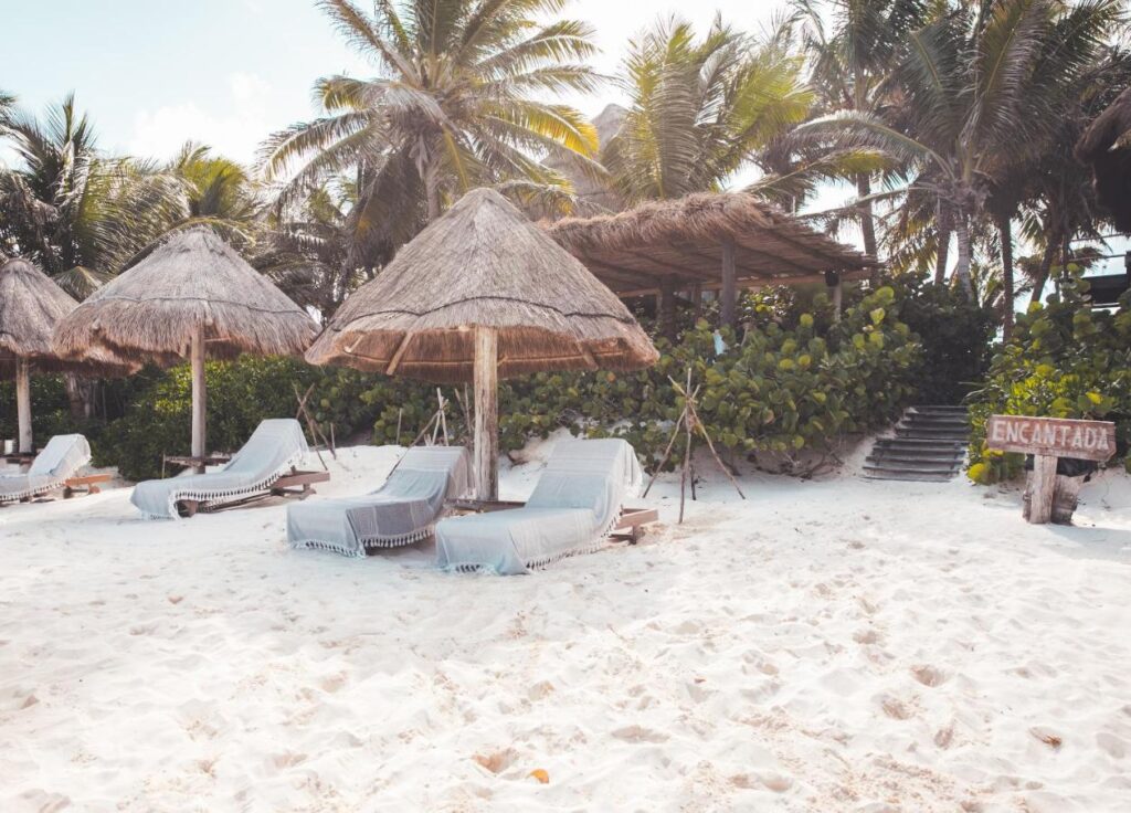 palm trees and sun shades at luxury resort on Tulum Beach