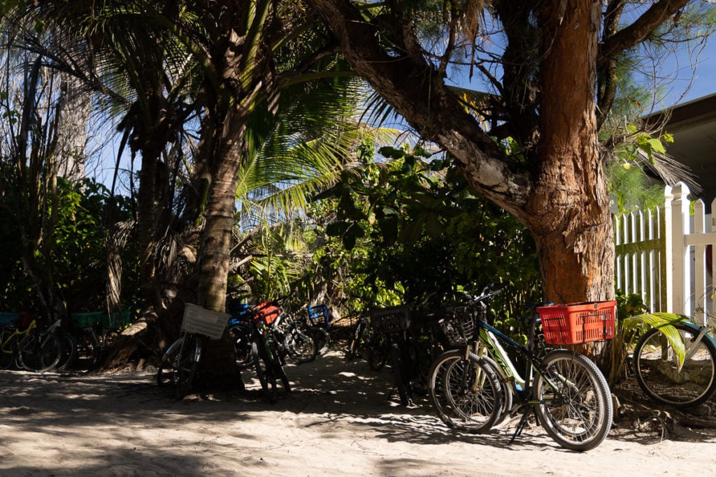 Bicycle on La Digue Island Seychelles