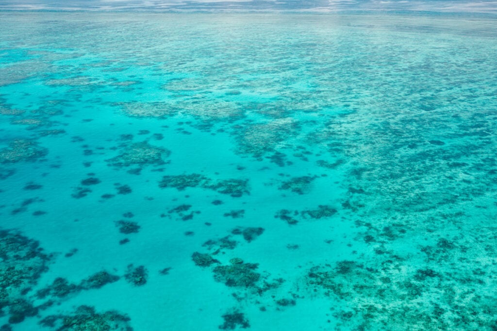 Great Barrier Reef near Cairns, Australia