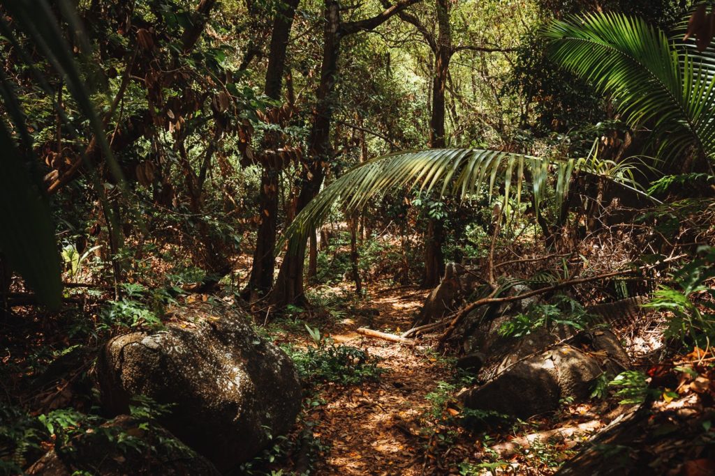 Mahé Island Nature Trail