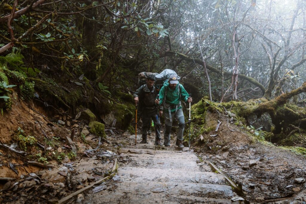 Basic mountaineering course candidates on the Trek from Tshoka to Dzongri, India
