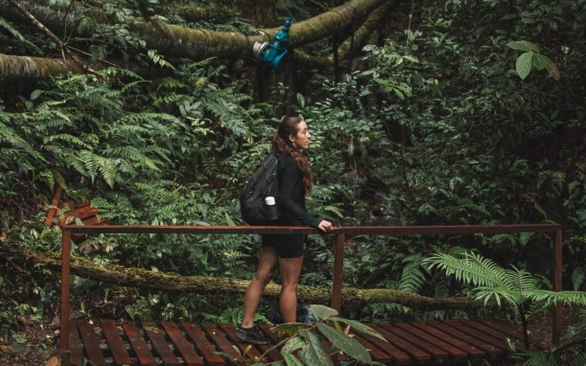 WHAT TO DO IN KINABALU PARK, HIKING TRAILS