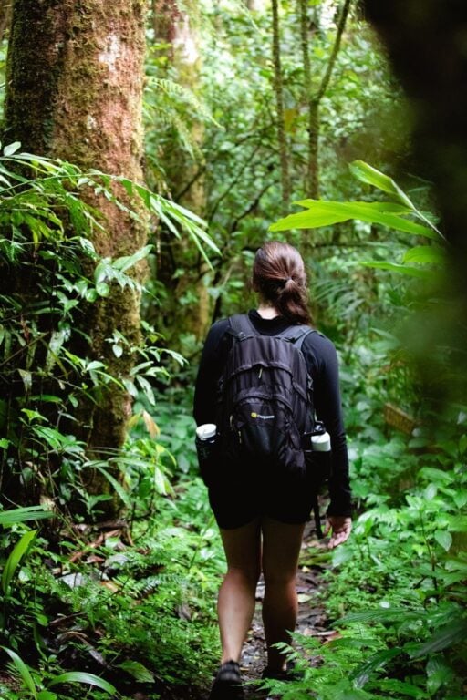 Hiking in Kinabalu National Park