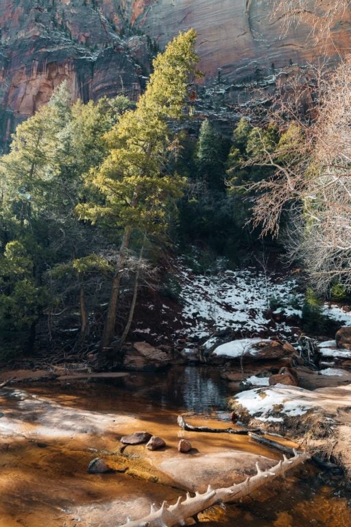 Middle Emerald Pools trail in Zion National Park