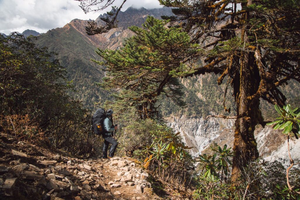 Trekking through the forest of the Hinku Valley