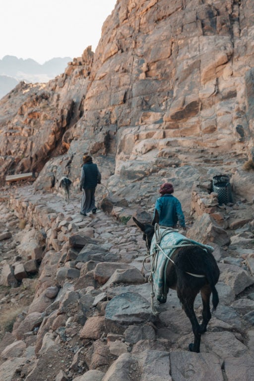 Hikers climbing Mount Sinai in Egypt