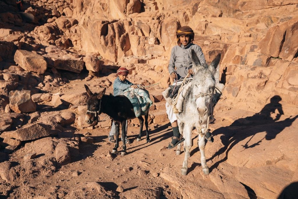 Kids on a donkey in Egypt
