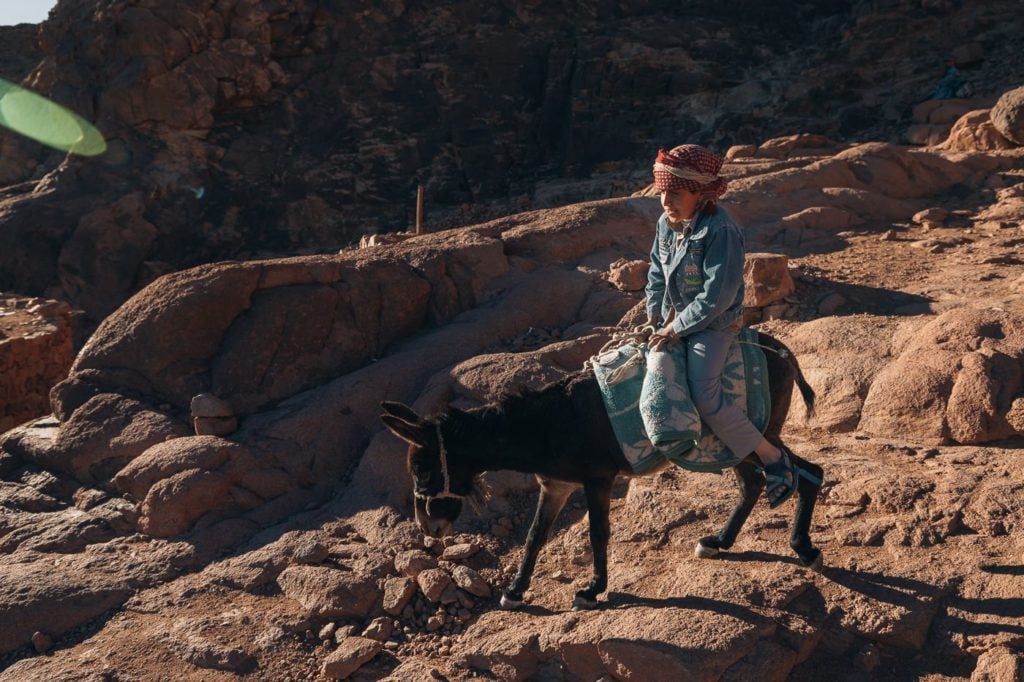Bedouin kids riding a donkey