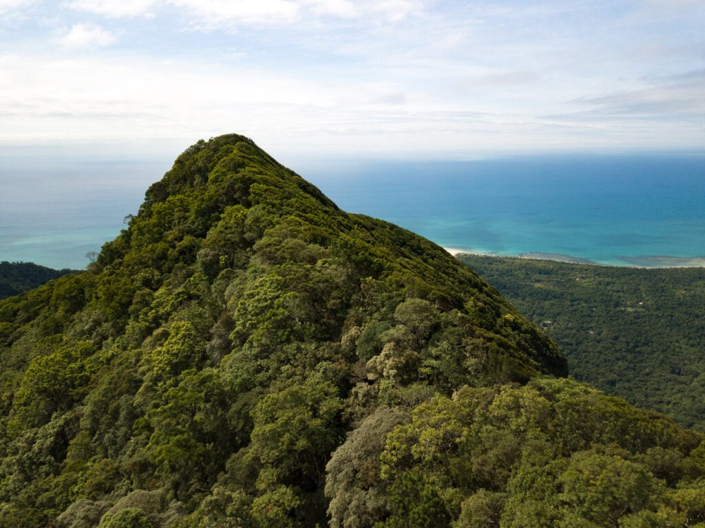 MOUNT SORROW RIDGE in Far North Queensland