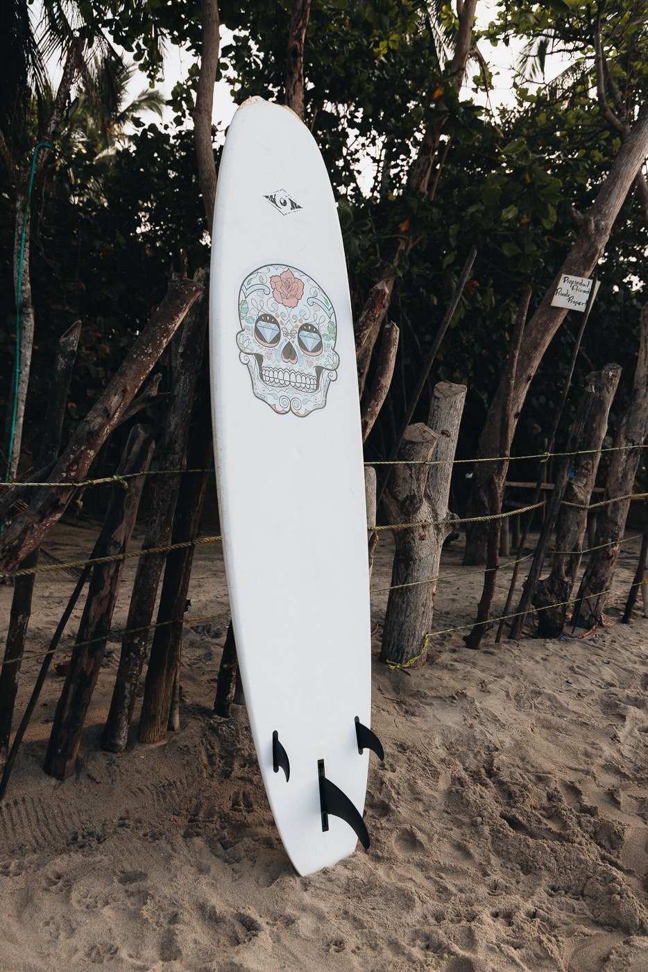 Surf board in Palomino