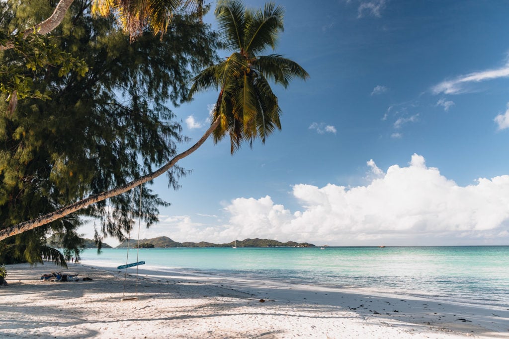 Palm Tree and White sand at Cote D'Or Beach, Praslin Island, the Seychelles