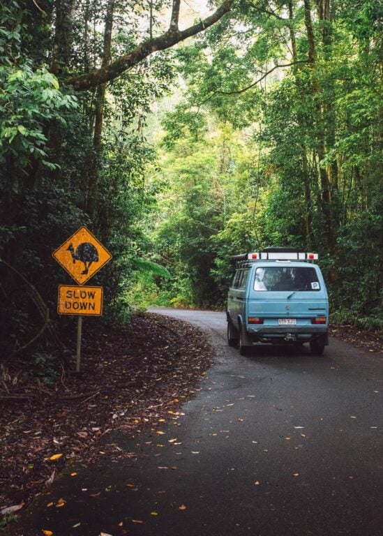 Car in the rainforest near Cairns