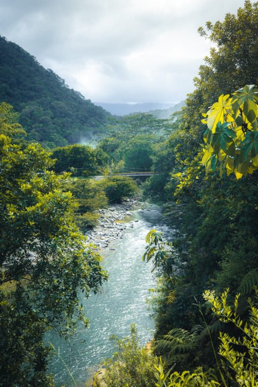 River in Colombia jungle