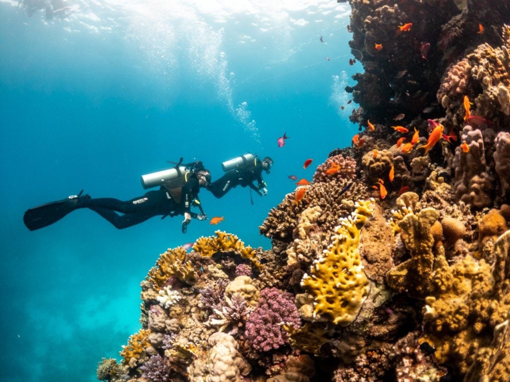 Scuba diving in Sharm el Sheikh