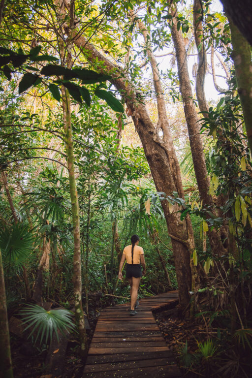Hiking at Sian Ka'aan Biosphere, one of the best things to do nearTulum
