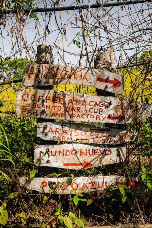 signpost in the jungle