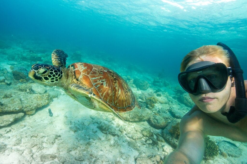 Snorkeling with sea turtle in Tulum, Mexico