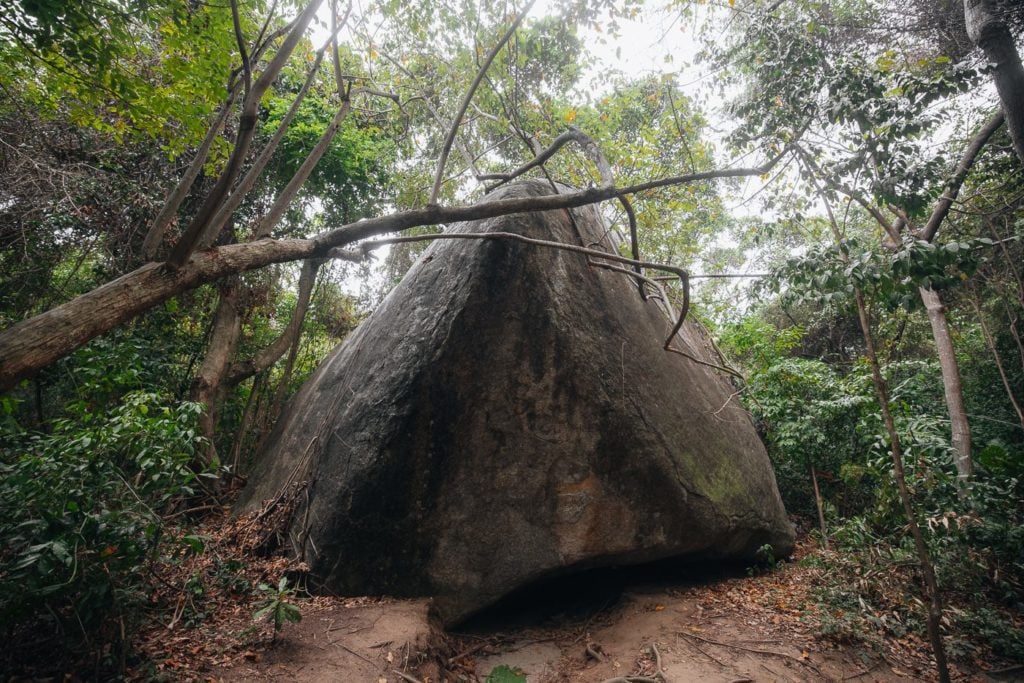 Large boulder in Colombian rainforest