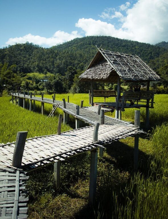 bamboo bridge in pai 