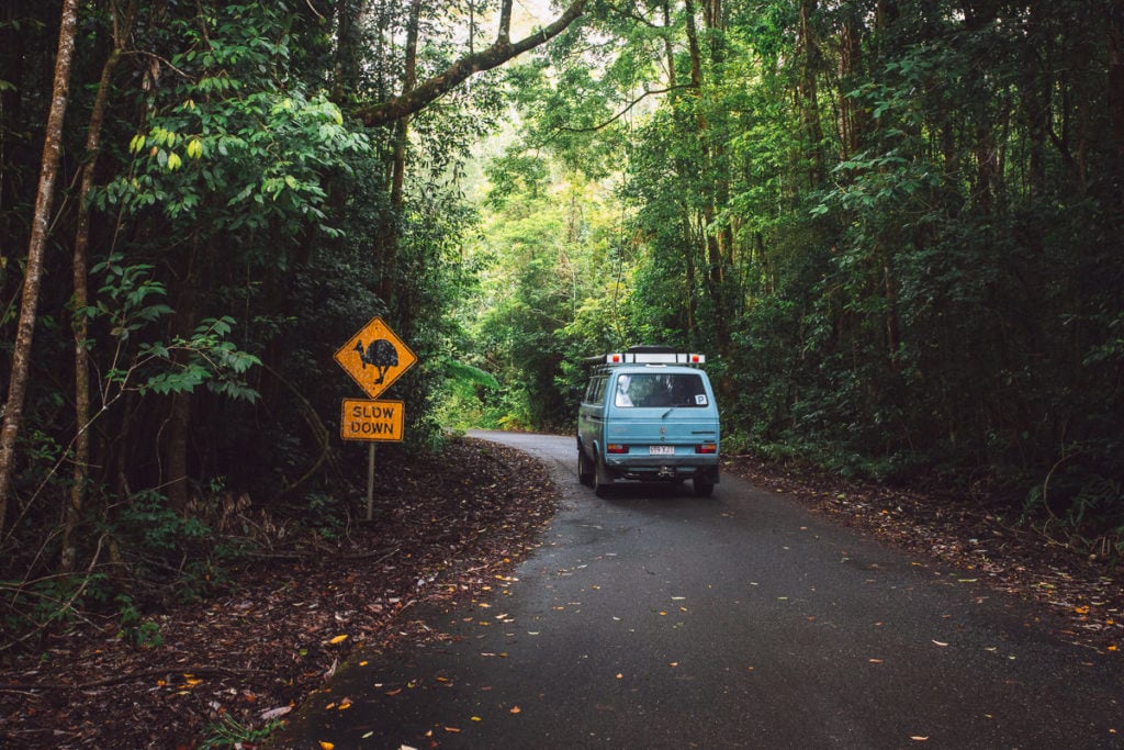 car in the rainforest of Far North Queensland