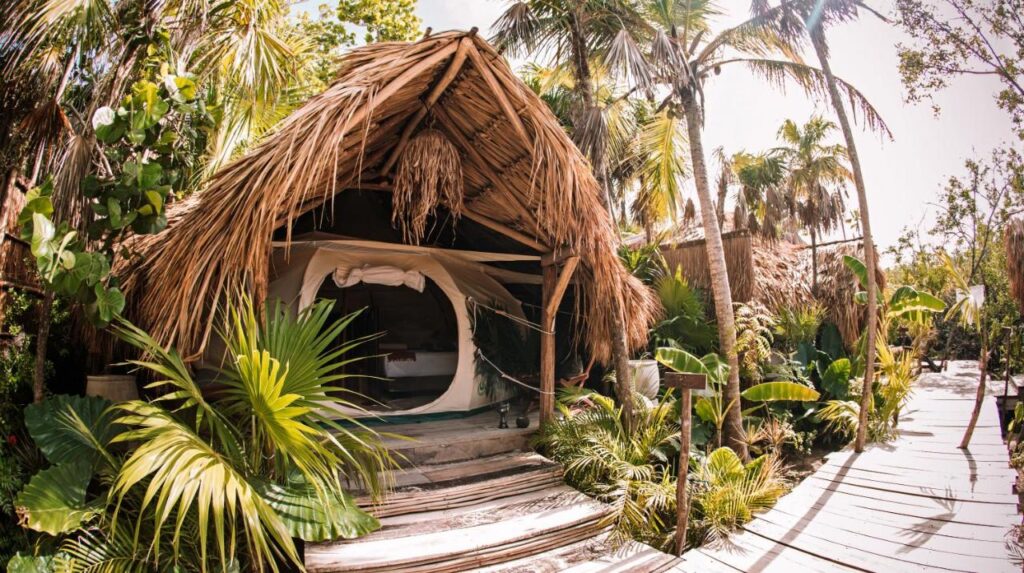 Bungalow tent accommodation with palm trees