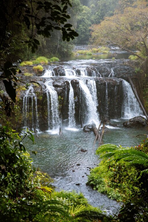 Wallicher Falls in the Wooroonooran National Park, Cairns