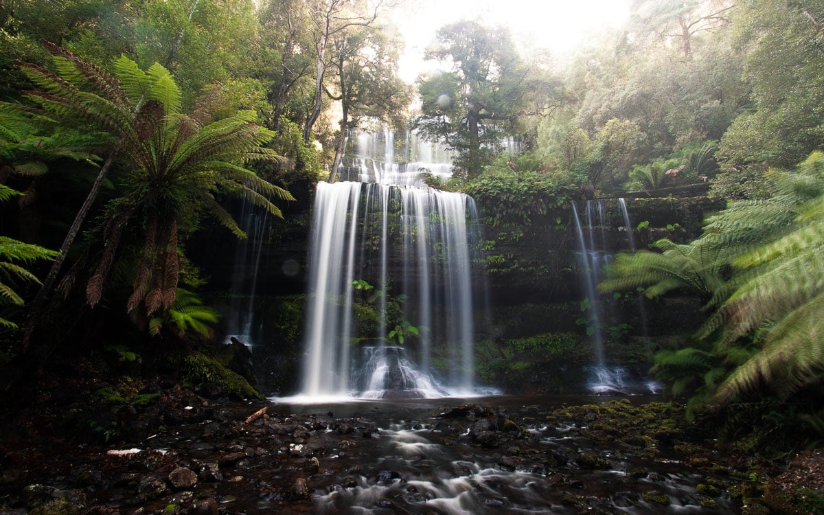 26 Incredible Waterfalls in Tasmania – The Tassie Waterfall Guide